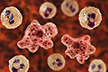 4th case of rare but deadly brain-eating Amoeba reported in Kerala
